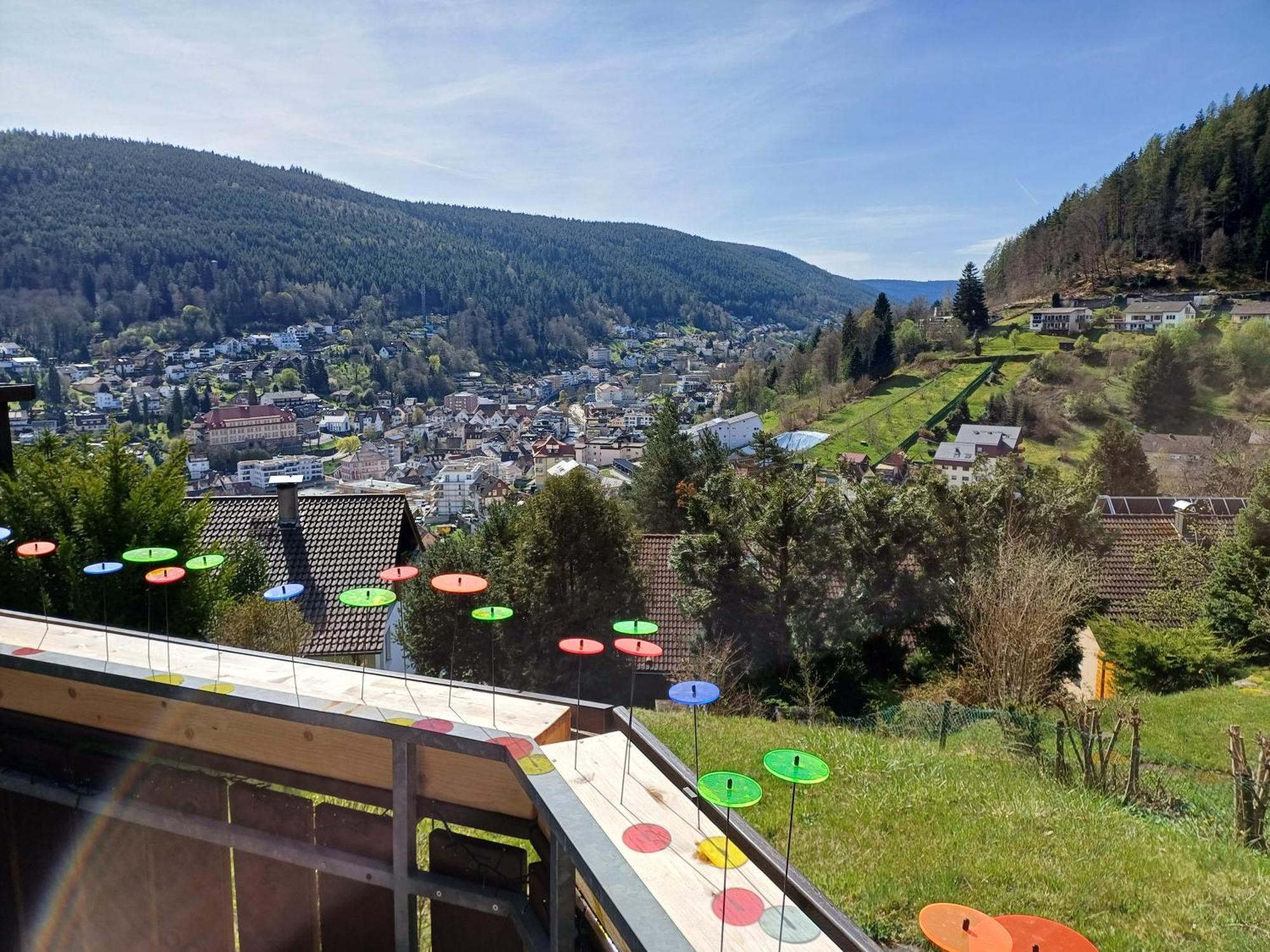 Ferienwohnung Panoramablick บาดวิลด์บาด ภายนอก รูปภาพ
