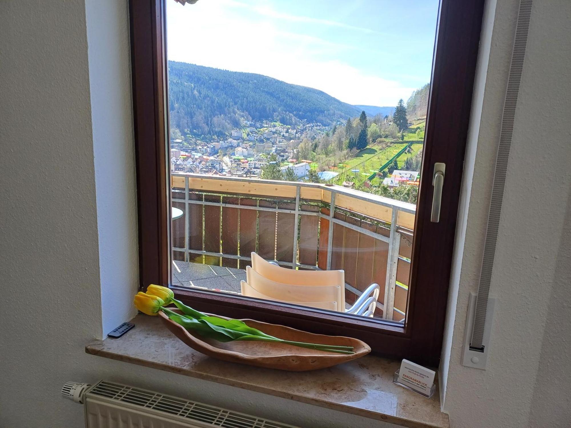 Ferienwohnung Panoramablick บาดวิลด์บาด ภายนอก รูปภาพ