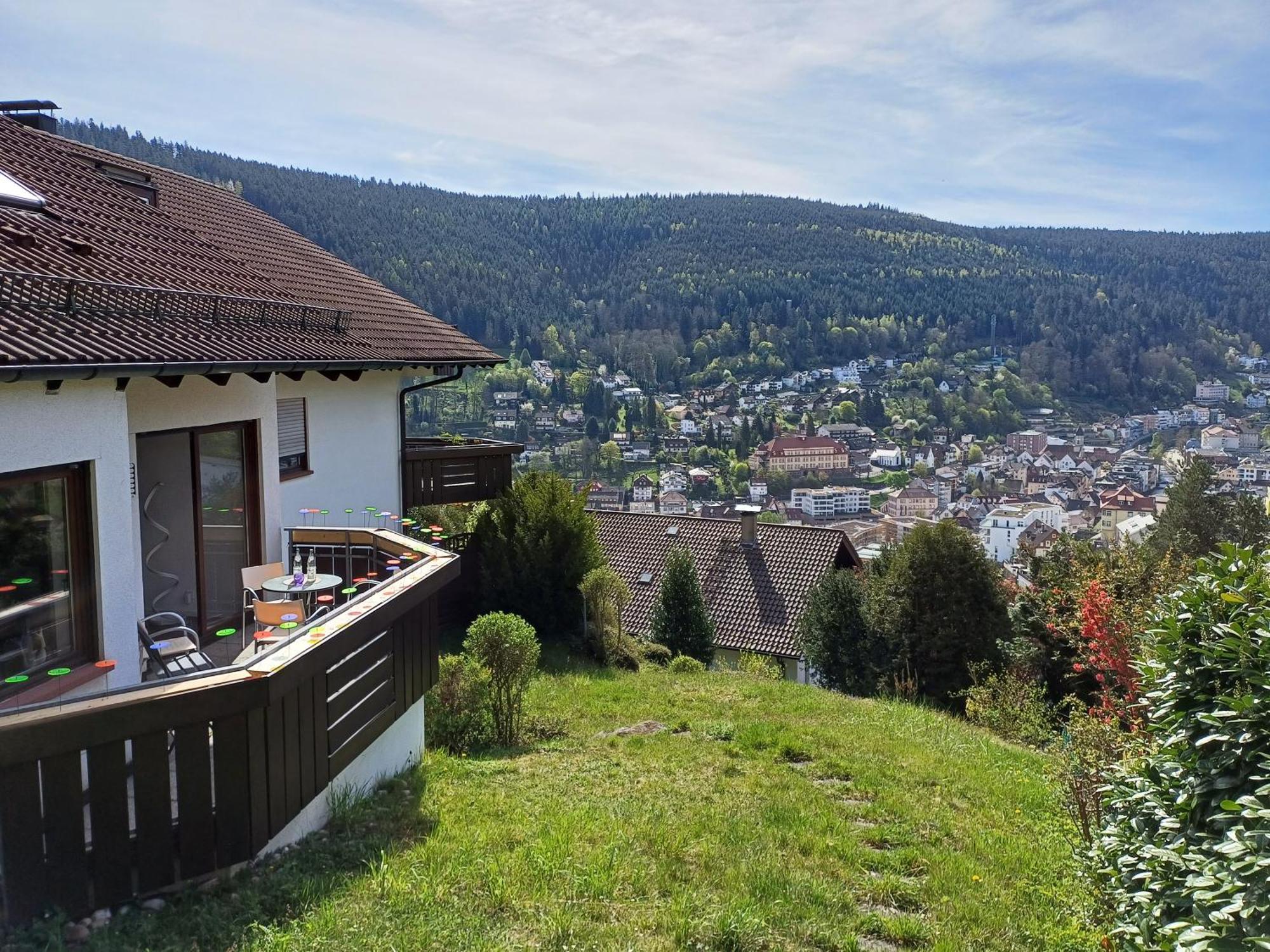 Ferienwohnung Panoramablick บาดวิลด์บาด ภายนอก รูปภาพ