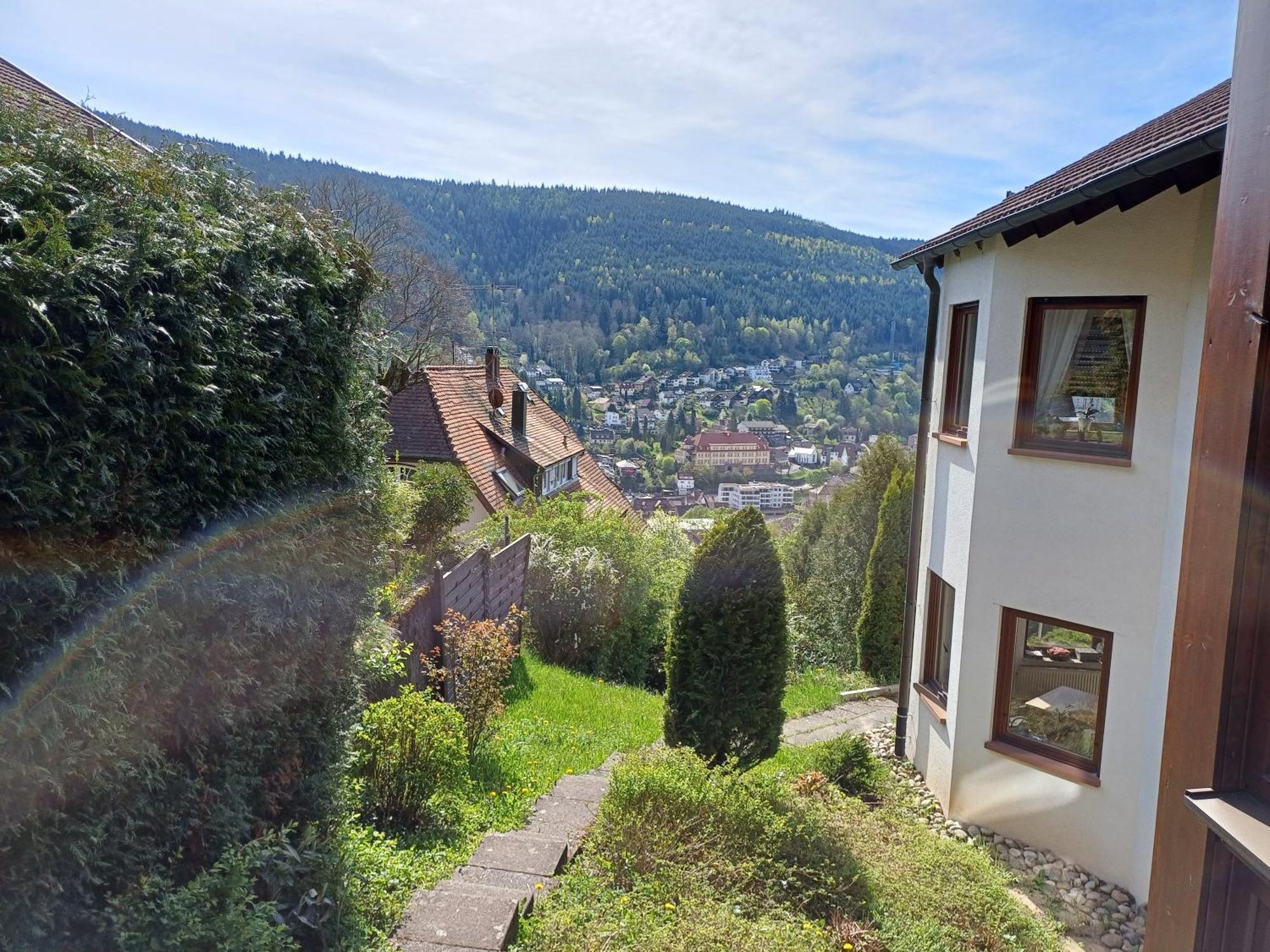 Ferienwohnung Panoramablick บาดวิลด์บาด ภายนอก รูปภาพ