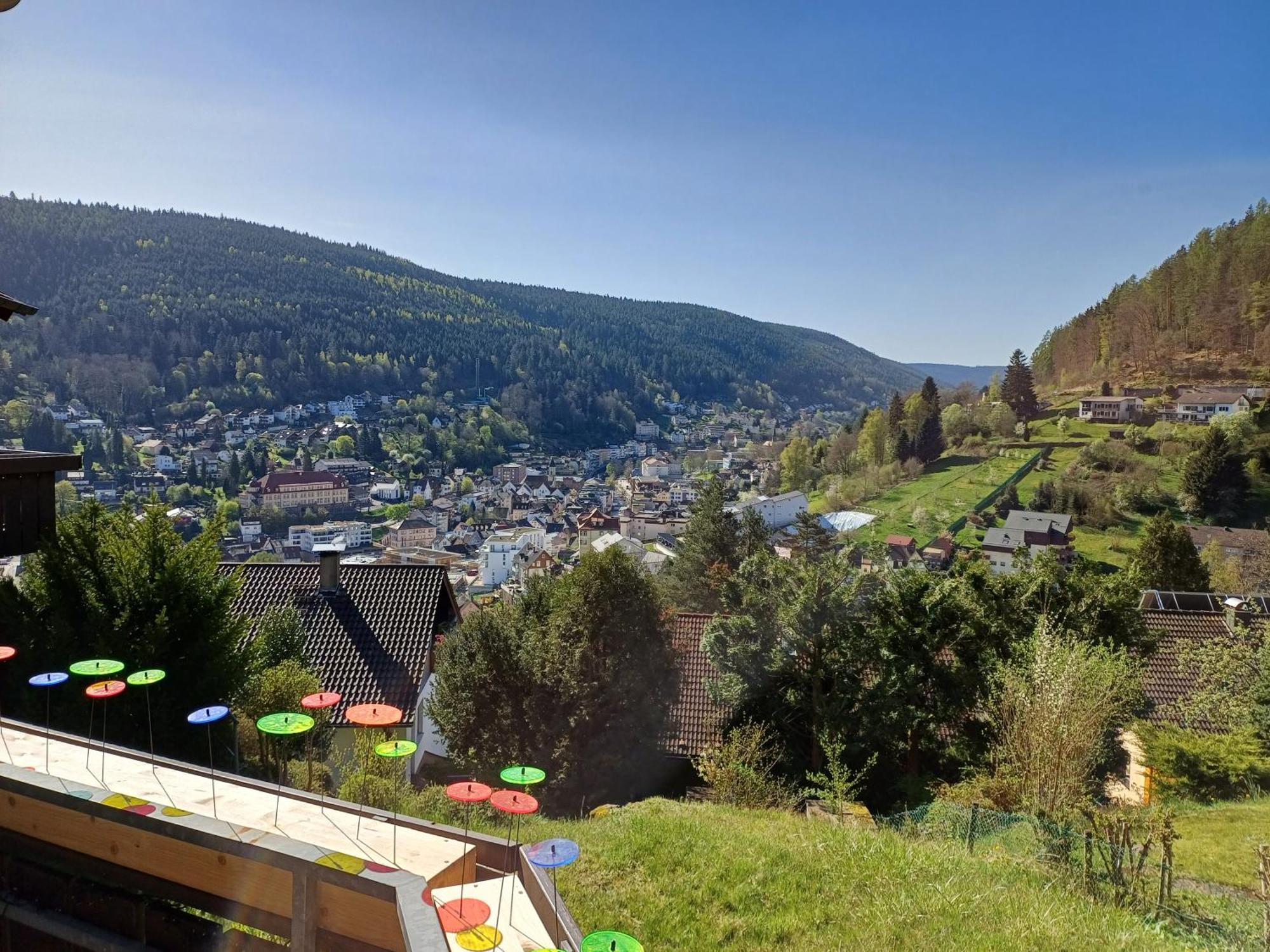 Ferienwohnung Panoramablick บาดวิลด์บาด ภายนอก รูปภาพ