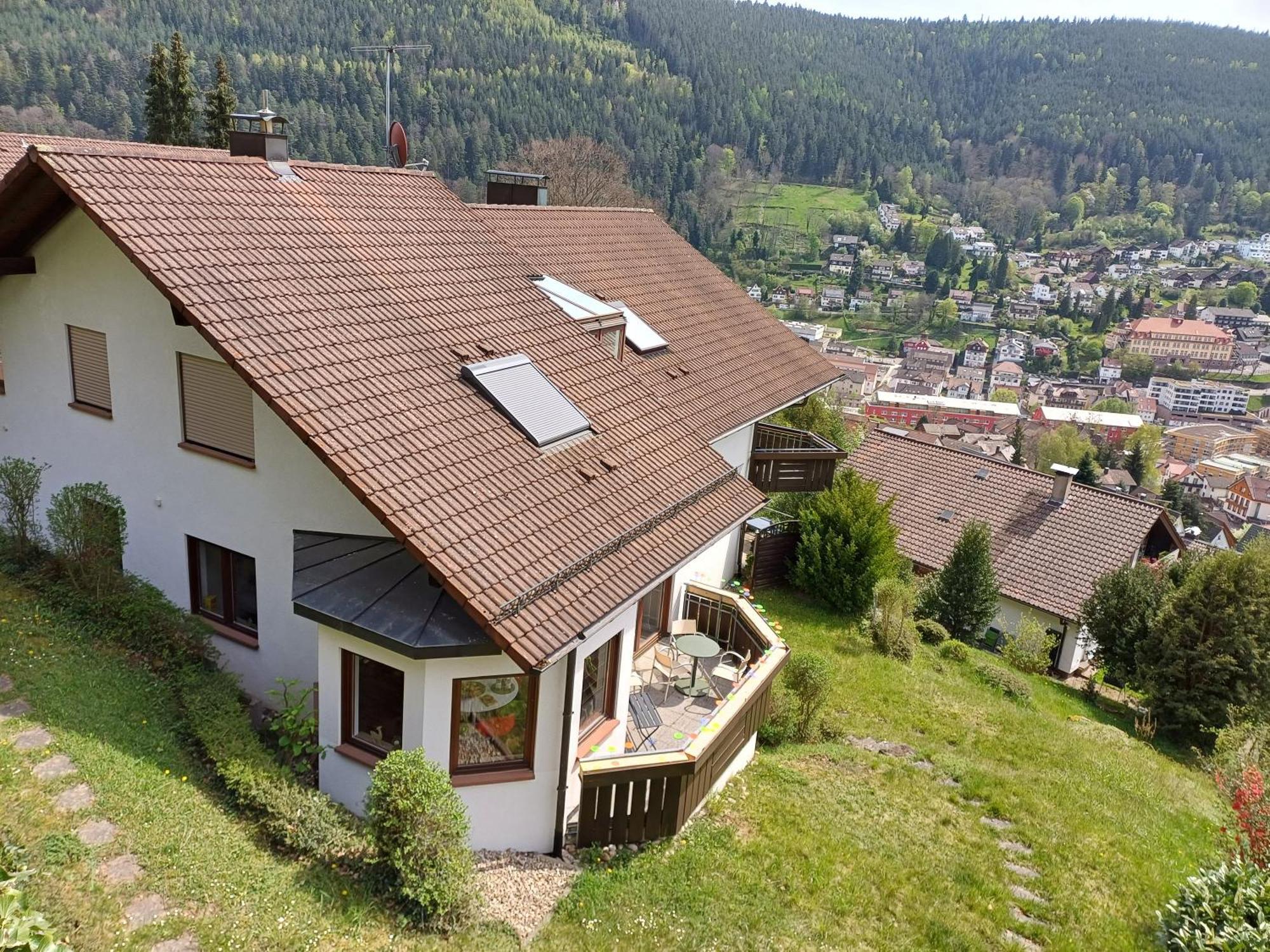 Ferienwohnung Panoramablick บาดวิลด์บาด ภายนอก รูปภาพ